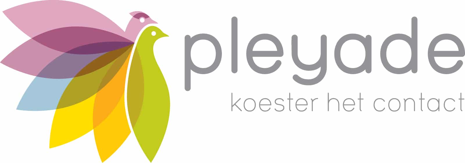 Pleyade Logo