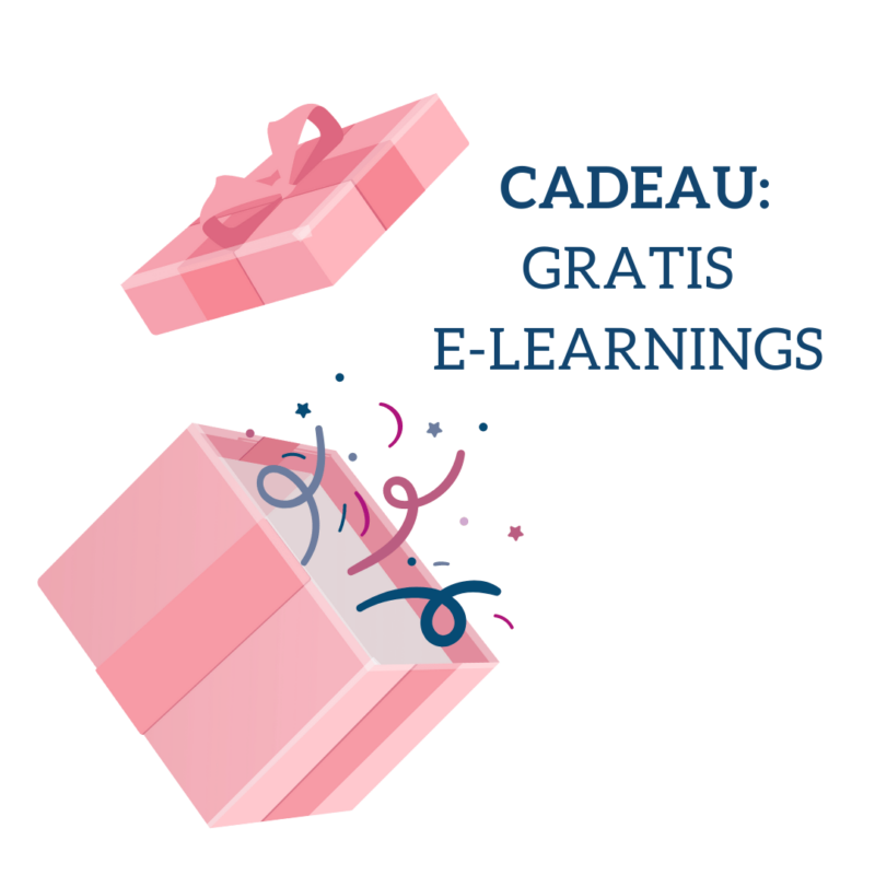 Cadeau GRATIS E Learnings (2)