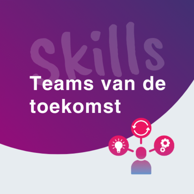 Skills Thema's (500 X 500 Px)