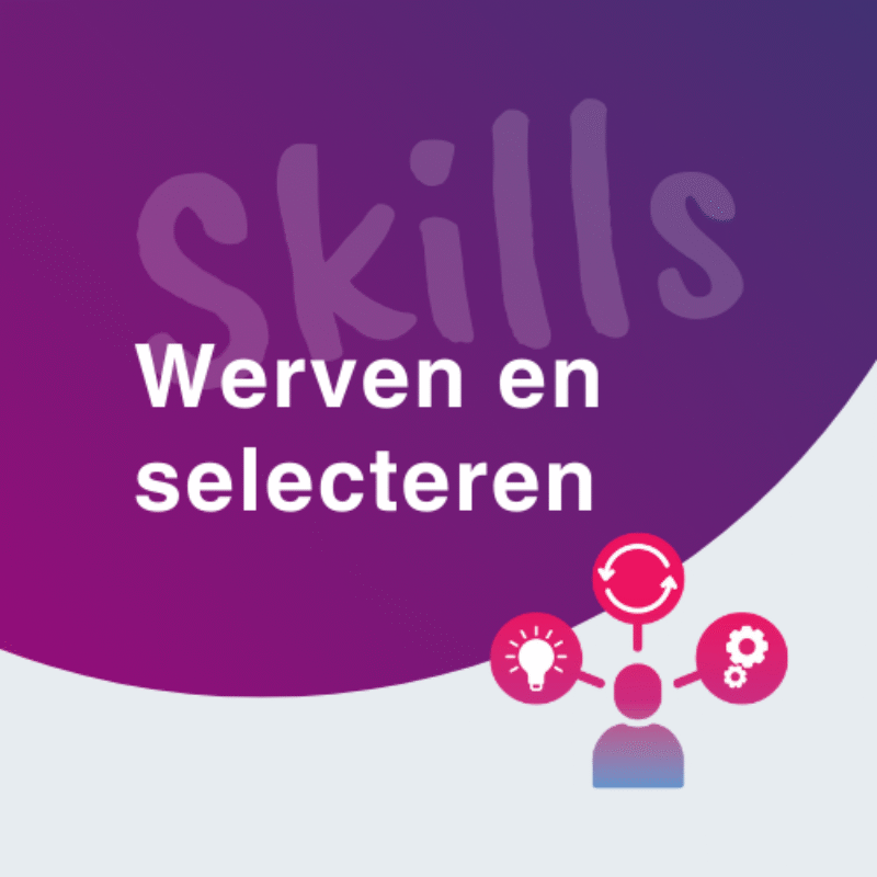 Skills Thema's (500 X 500 Px) Werven En Selecteren